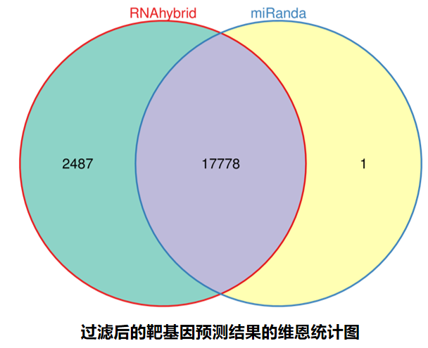1658816969509879.png
