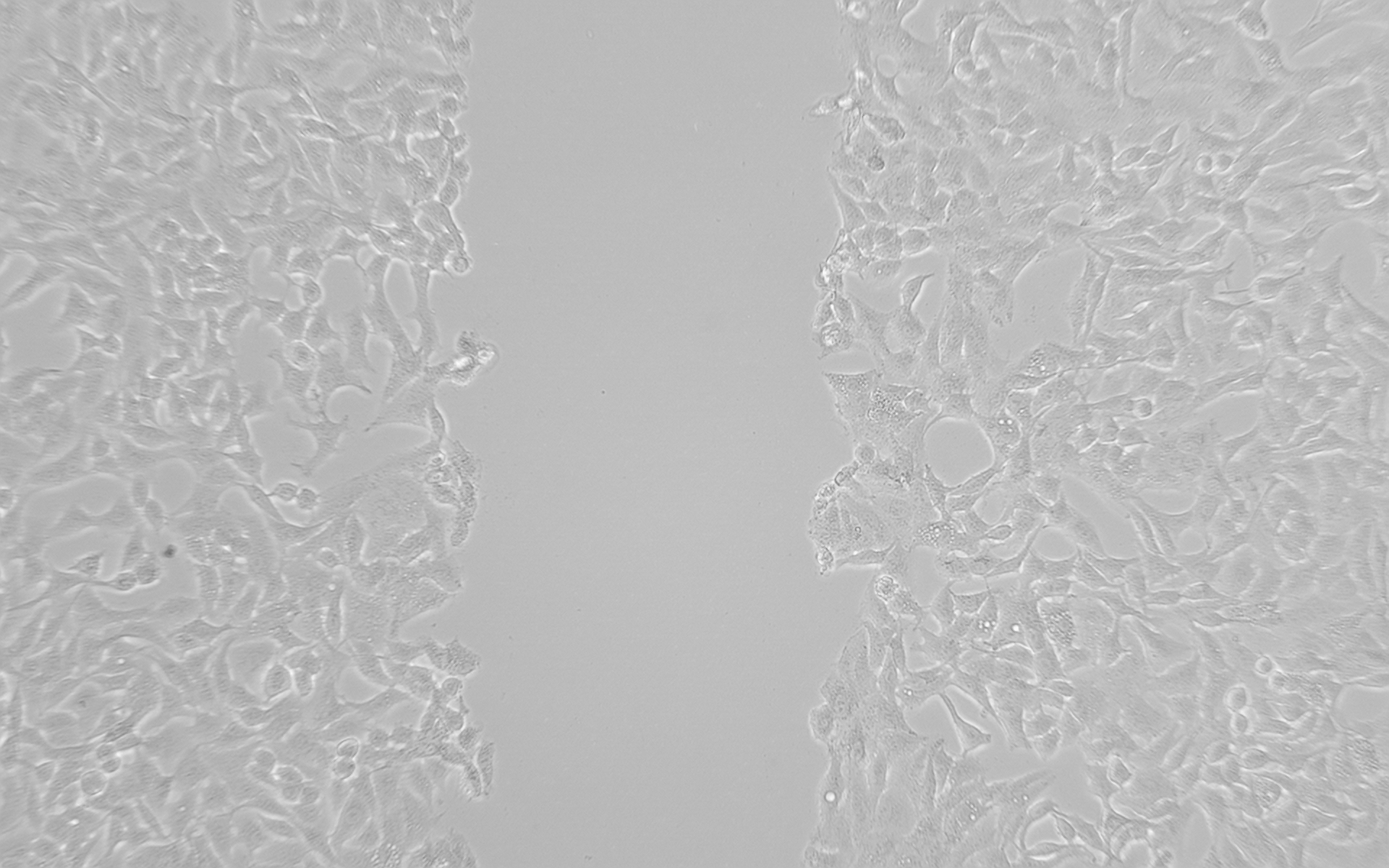 1658839586332113.png