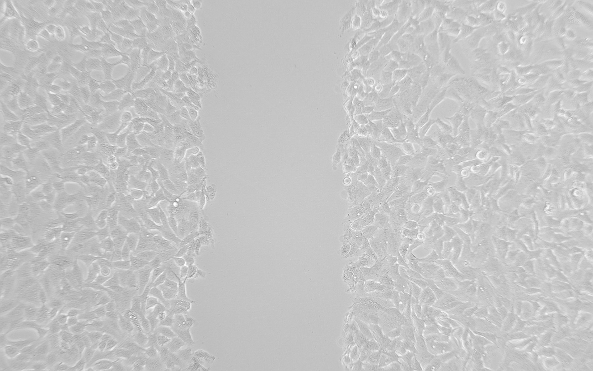 1658839679776510.png