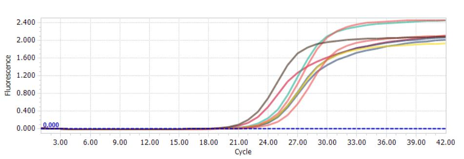 1658980808155059.png 1658980808155059.png