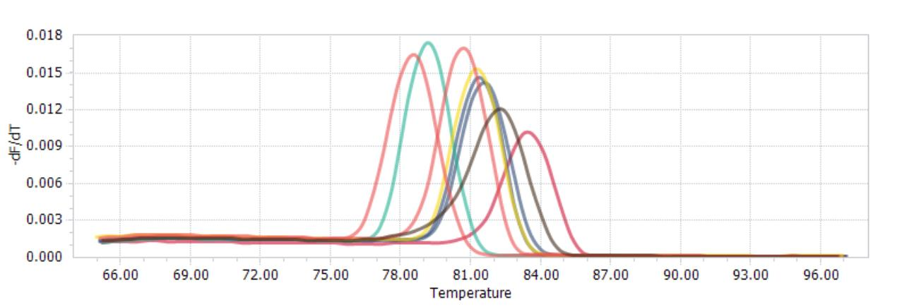 1658980884207066.png 1658980884207066.png