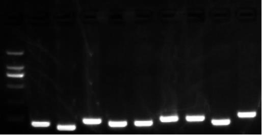 1658981031297264.png image.png