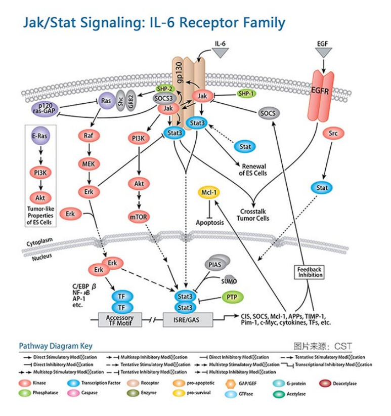 1658981617138100.png image.png