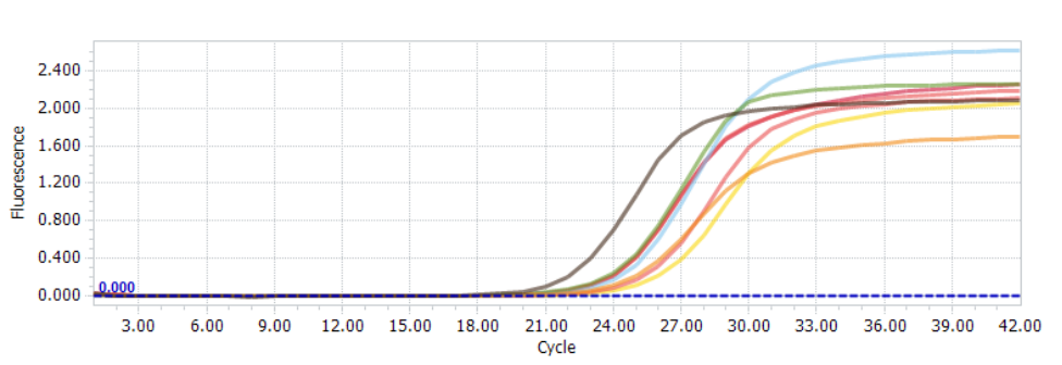 1658981761189967.png 1658981761189967.png