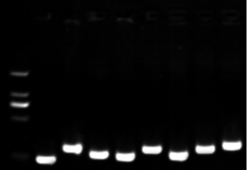 1658981858274726.png image.png