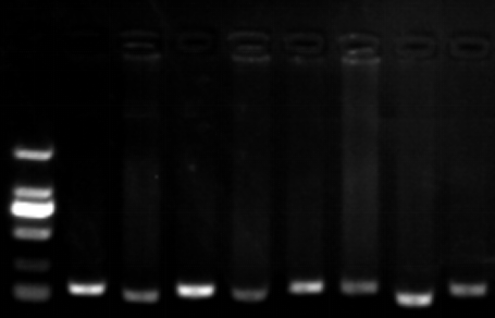 1658982728878773.png image.png