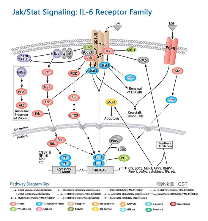 1658983120101530.png image.png