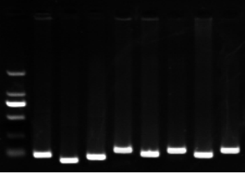 1658983270138837.png image.png