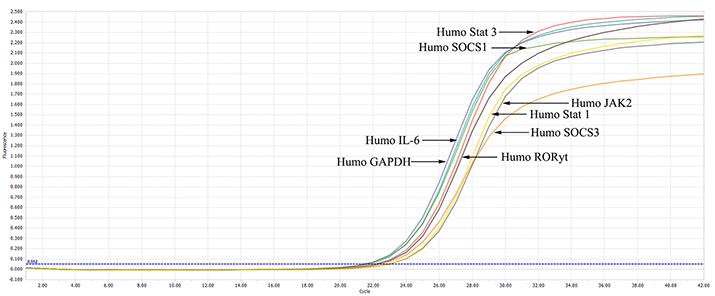 1658983737107457.png image.png