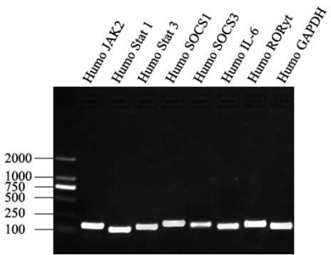 1658983796185430.png image.png