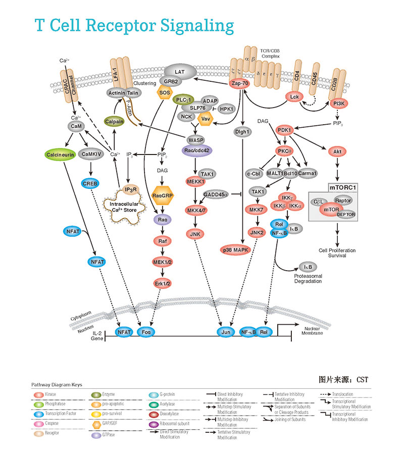 1658984134161384.png image.png