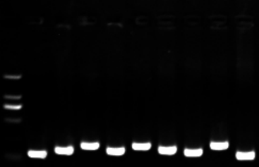 1658984299142669.png image.png