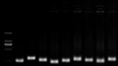 1658985033269403.png image.png