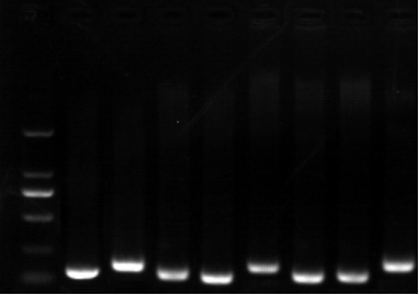 1658985507765142.png image.png