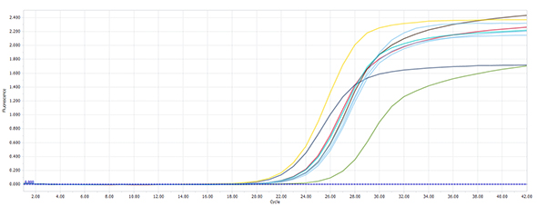 1658985944577206.png image.png