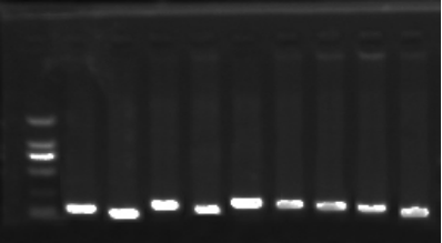 1658985986253198.png image.png