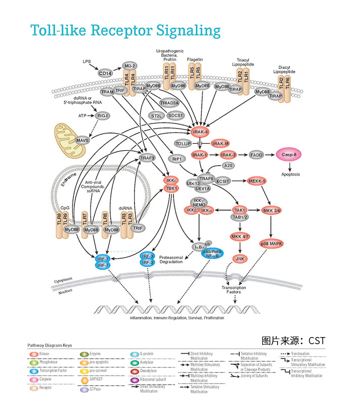 1658990827145615.png image.png