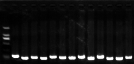 1658990976479364.png image.png