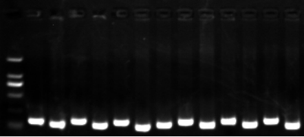 1658991387161233.png image.png