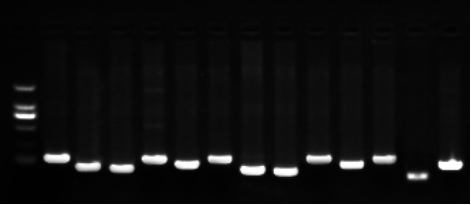 1658991838187380.png image.png