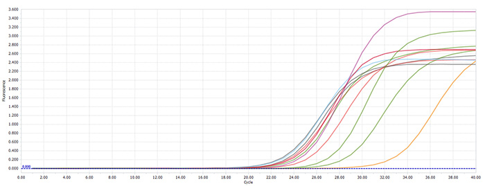 1658994516307674.png image.png