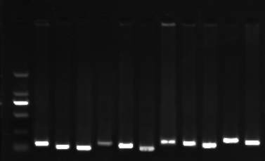 1658994553224271.png image.png