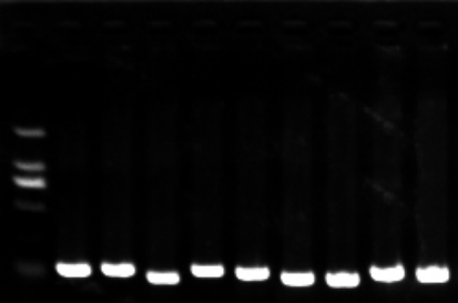 1658995492202617.png image.png