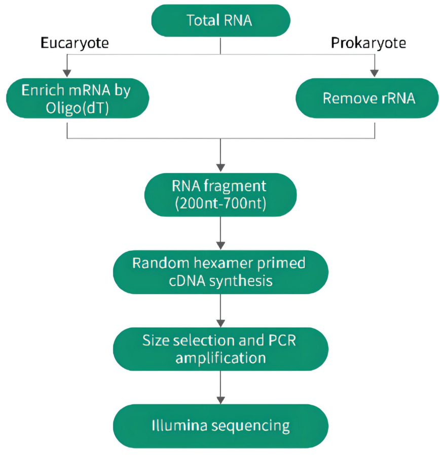 1670577301110614.png image.png