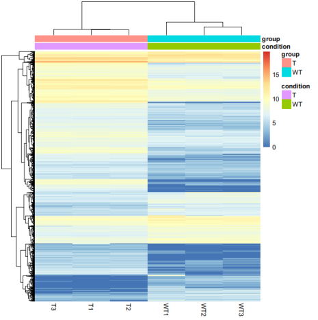 1672282056239111.png image.png