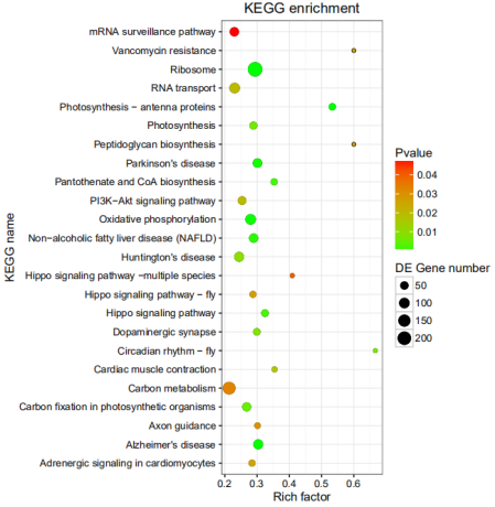 1672282117120209.png image.png