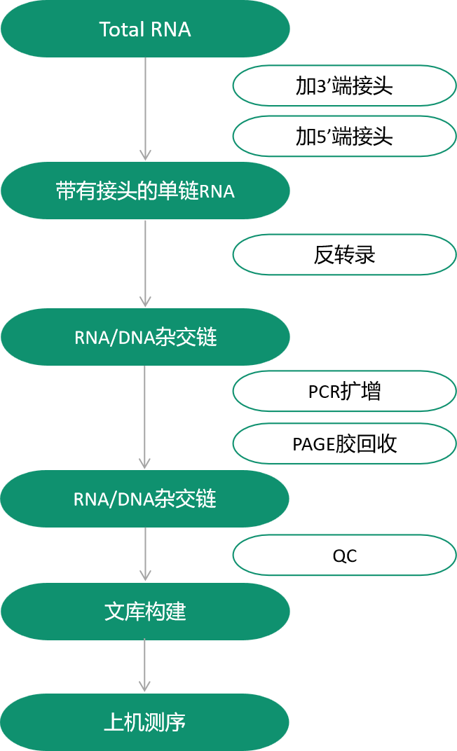 1672282191704305.png image.png