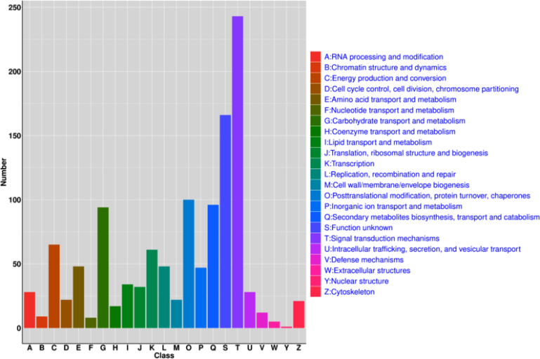 1672282281971195.png image.png