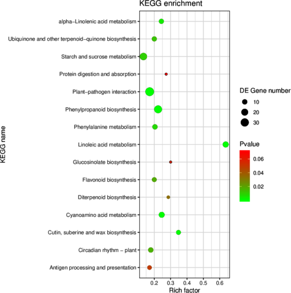 1672282313196453.png image.png