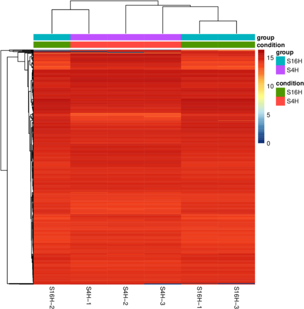 1672282335202533.png image.png