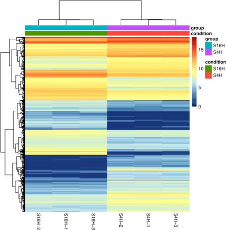 1672282388844622.png image.png