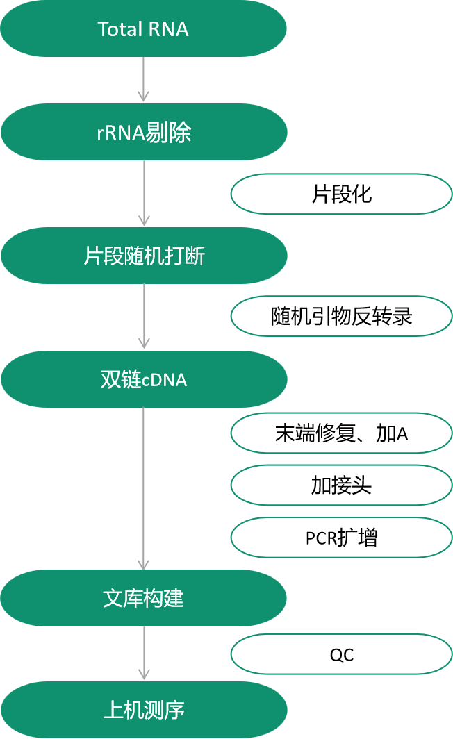 1672282417211143.png image.png