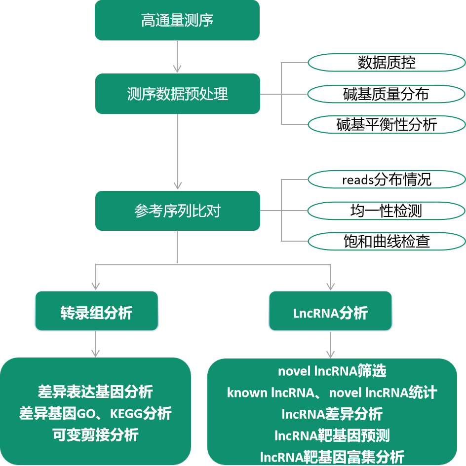 1672282457808193.png image.png