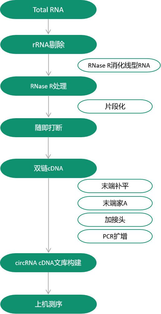 1672282483668904.png image.png