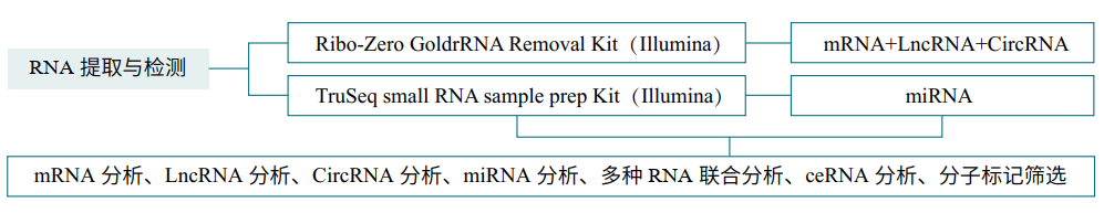 1672282547112002.png image.png