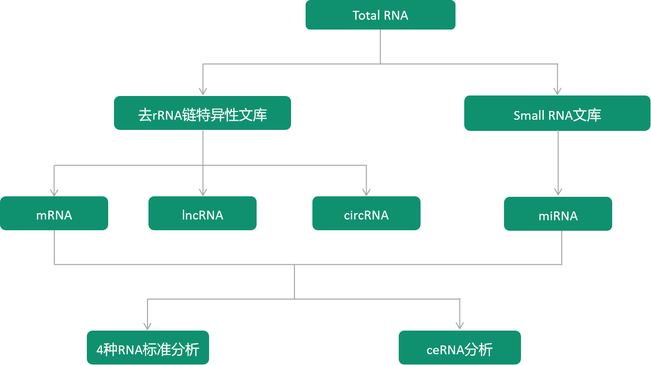 1672282568346965.png image.png