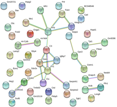 1672282750974761.png image.png