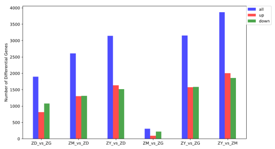 1672282764487454.png image.png