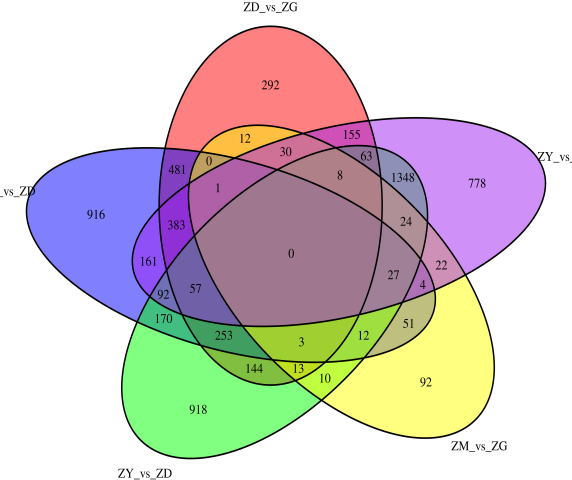 1672282792250607.png image.png