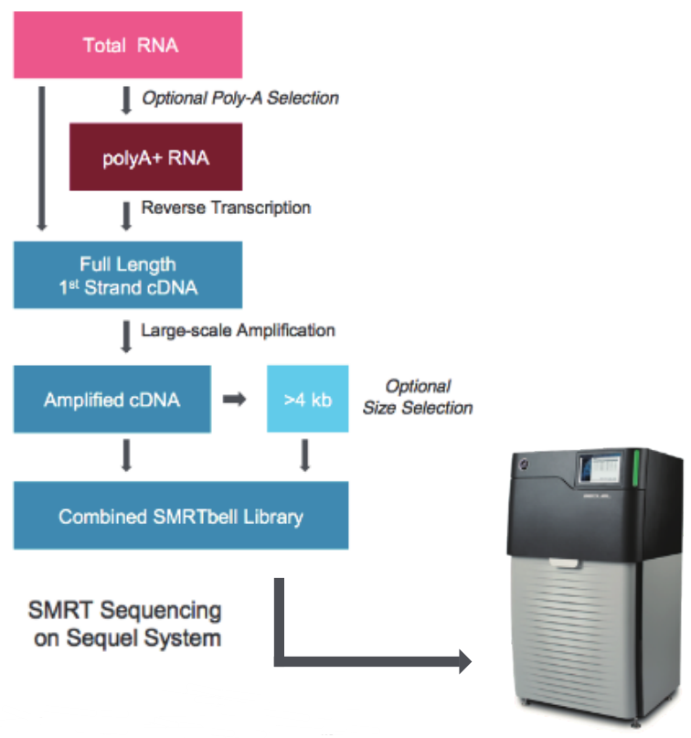 1672282848358690.png image.png