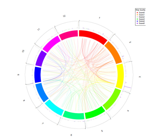 1672282977445167.png image.png