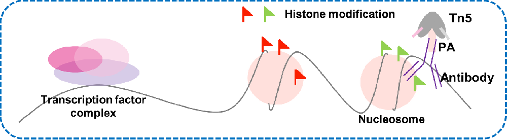 1703223597461354.png image.png