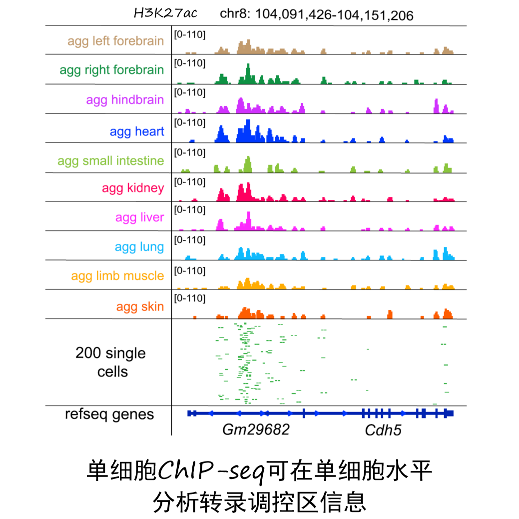 1703224165140186.png image.png