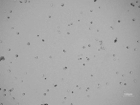 1703225184128159.png image.png