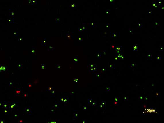 1703225196597354.png image.png