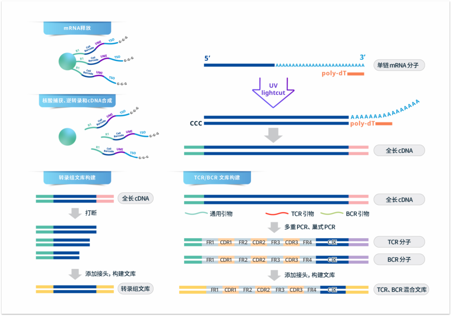 1703226501139215.png image.png